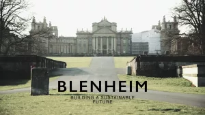 Good Energy Case Study - Blenheim